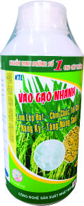 VÀO GẠO NHANH